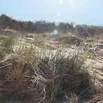 شقة Koje 1