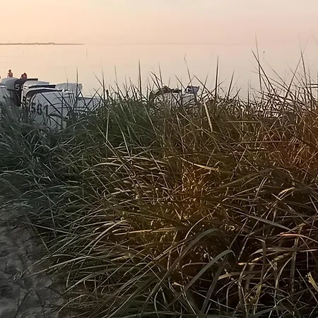 Koje 1 Schillig