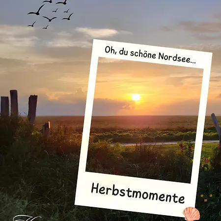 Koje 1 Schillig