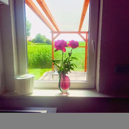 Apartman Koje 1 *